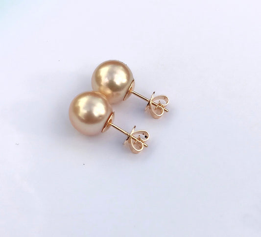 Golden South Sea Pearl  Earrings set in 9K Gold